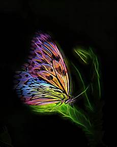 Butterfly Beach Towel
