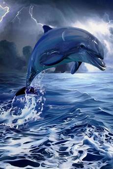 Dolphin Beach Towel