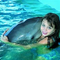 Dolphin Beach Towel