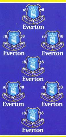 Everton Beach Towel