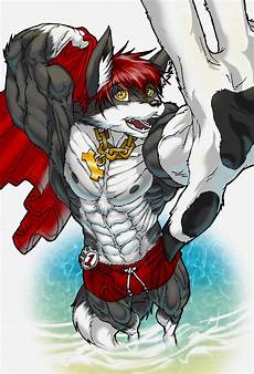 Fox Beach Towel