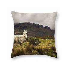 Llama Beach Towel